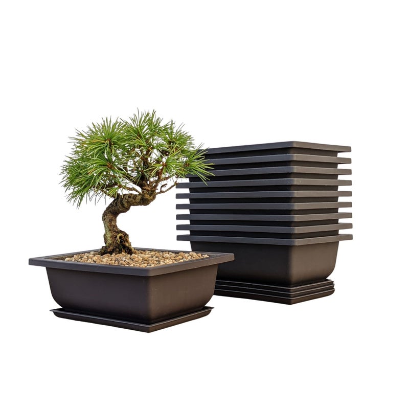 Bonsai Outlet Bonsai Training Pots Humidity Trays - Built in Mesh, 6-Inch Large Planters + Made from Durable Shatter Proof Poly-Resin, 9-Pack Pot Set - Image 1
